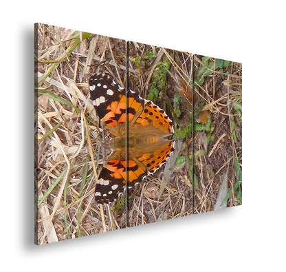 Hauptbild Farbig 3 Teilig