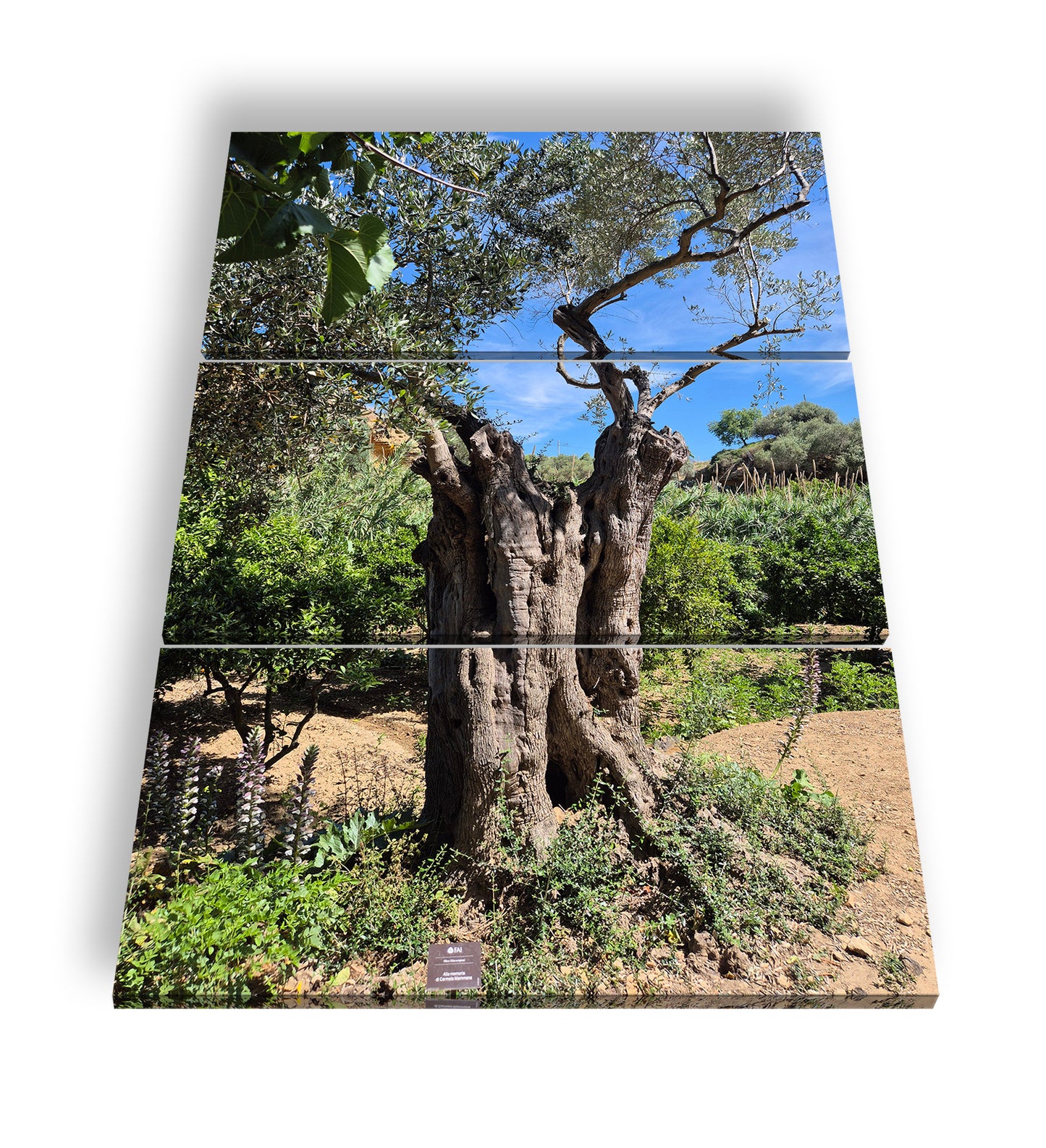 Hauptbild Farbig 3 Teilig