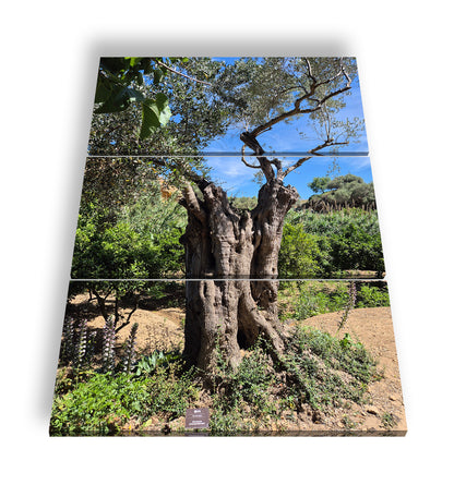 Hauptbild Farbig 3 Teilig