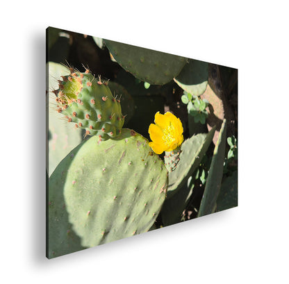 Hauptbild Farbig Standart