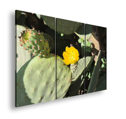 Hauptbild Farbig 3 Teilig