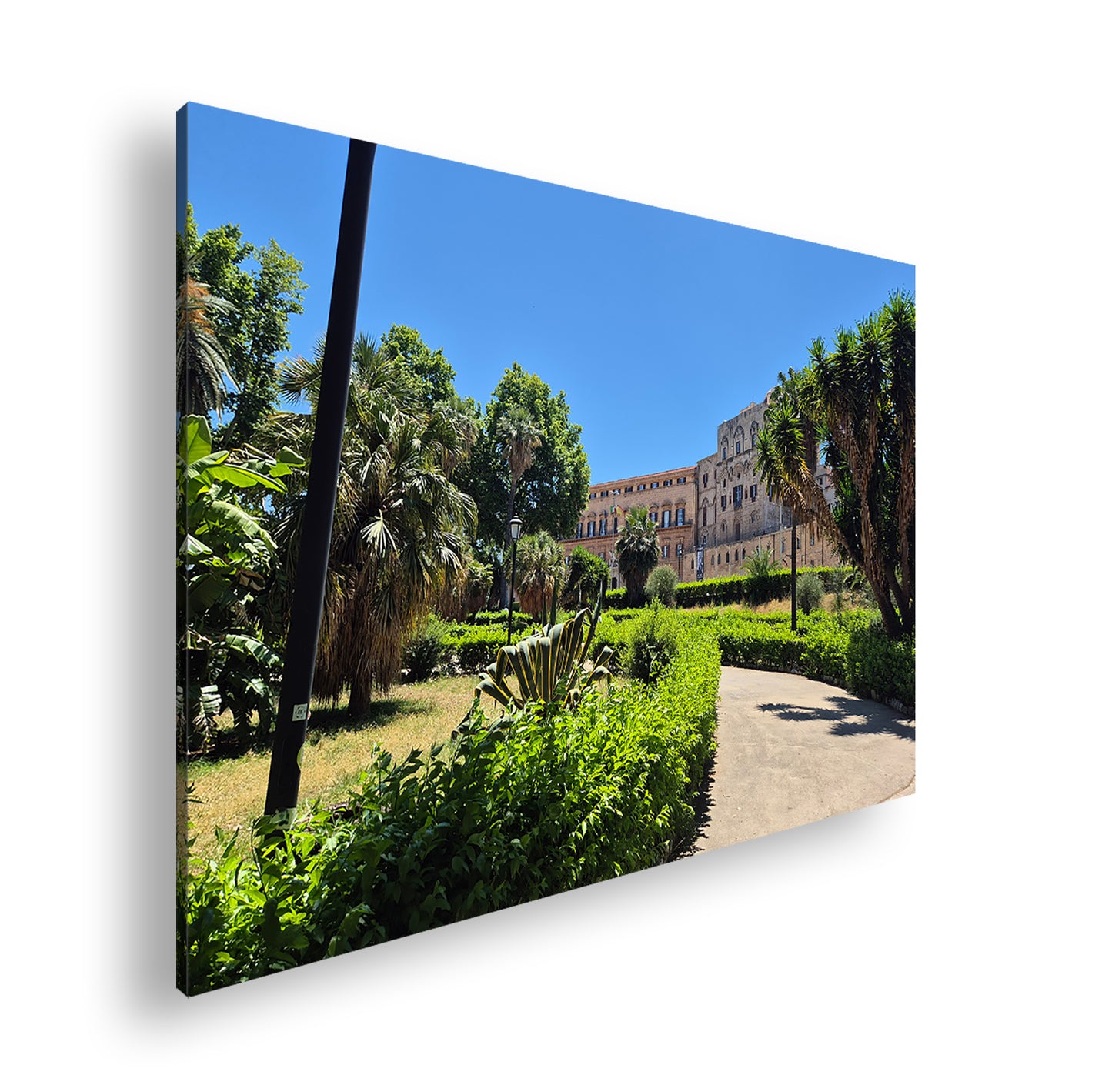 Hauptbild Farbig Standart