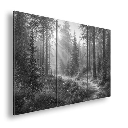 Hauptbild Schwarz & Weiß 3 Teilig