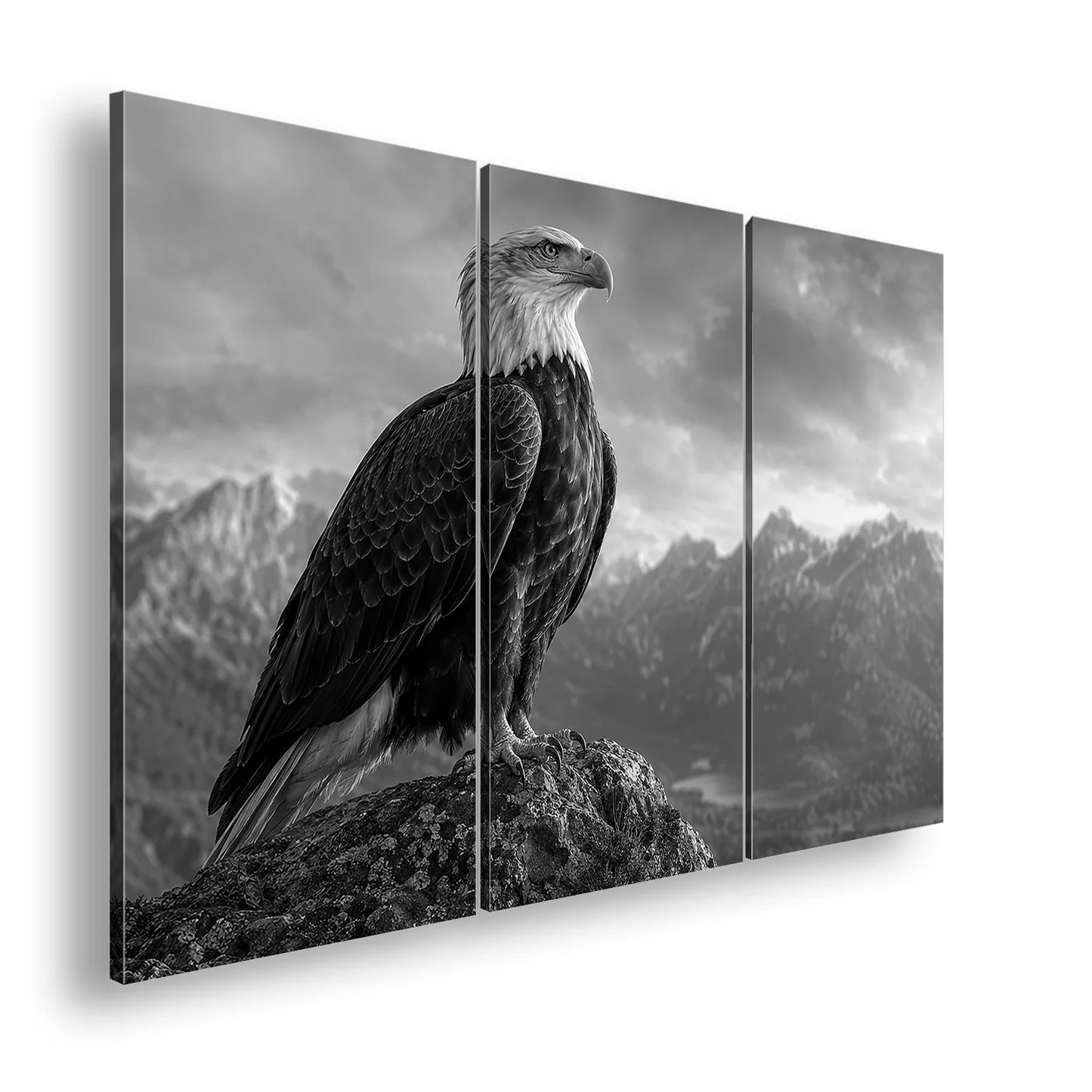Hauptbild Schwarz & Weiß 3 Teilig