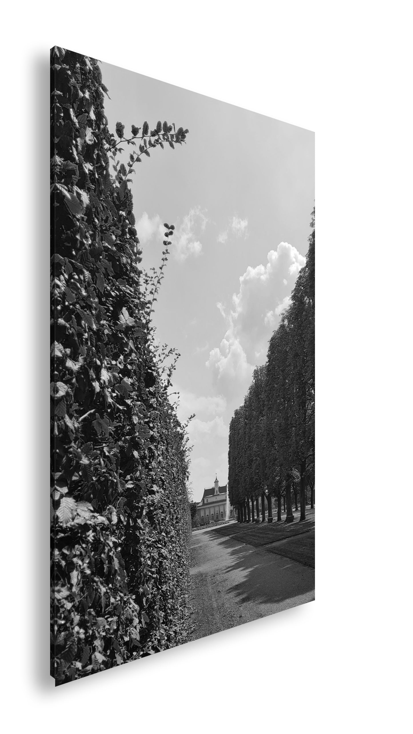 Hauptbild Schwarz & Weiß Standart