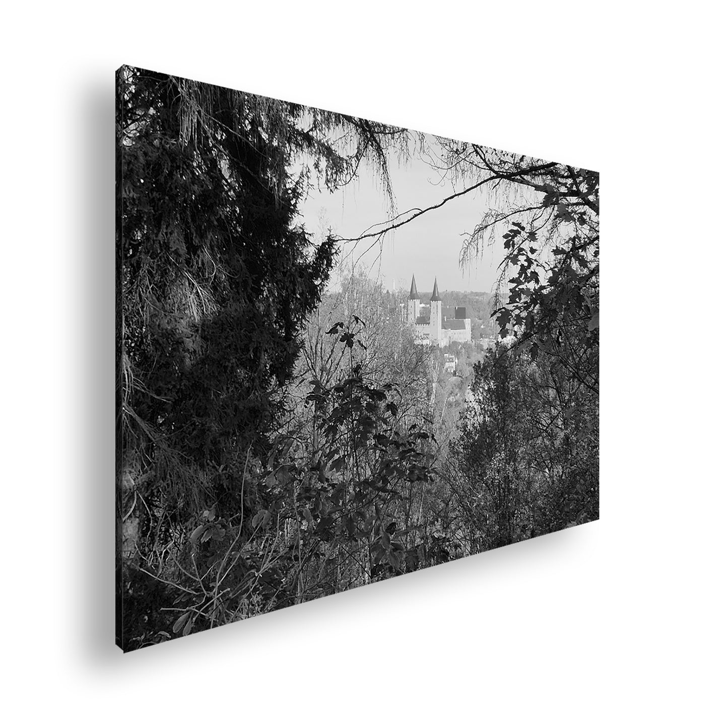 Hauptbild Schwarz & Weiß Standart