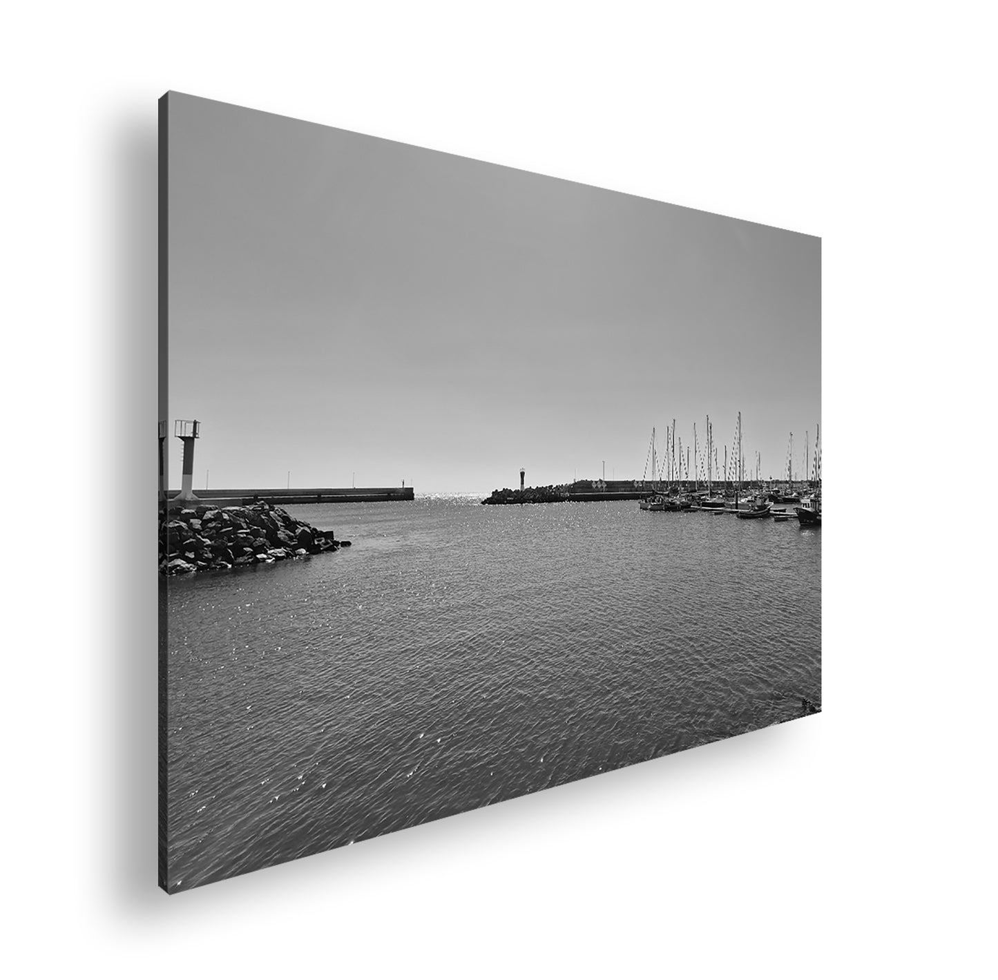 Hauptbild Schwarz & Weiß Standart