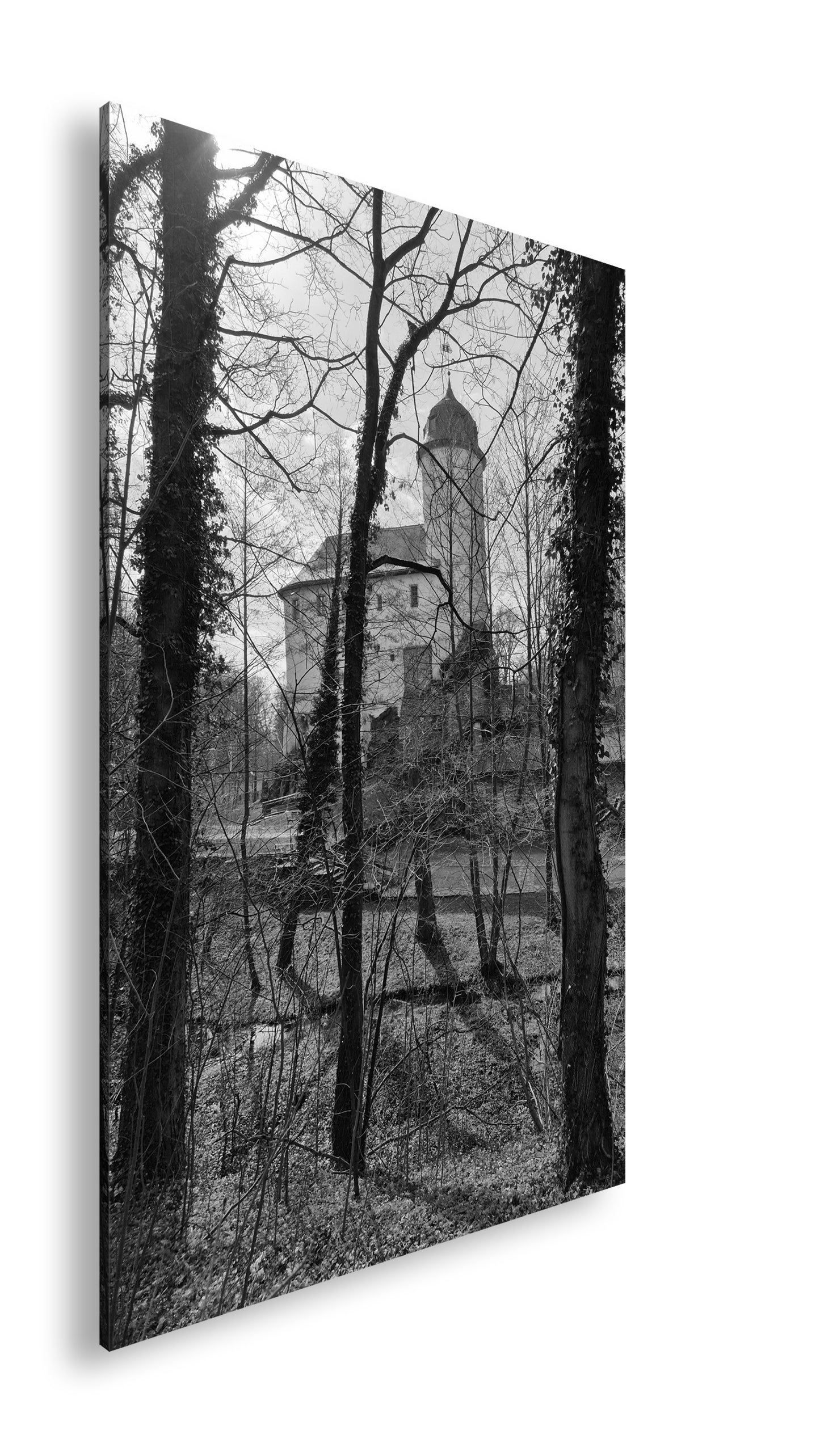 Hauptbild Schwarz & Weiß Standart