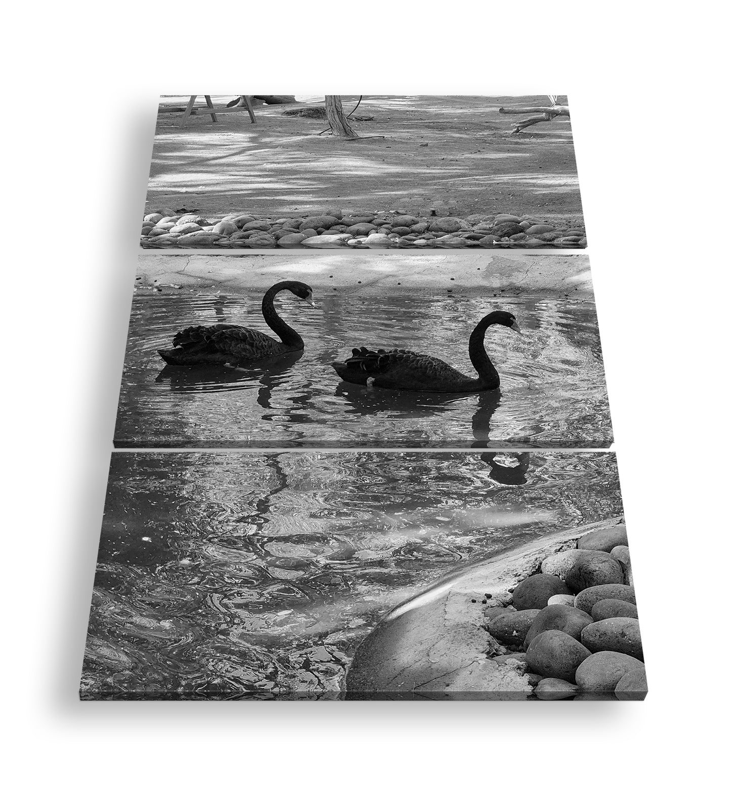 Hauptbild Schwarz & Weiß 3 Teilig