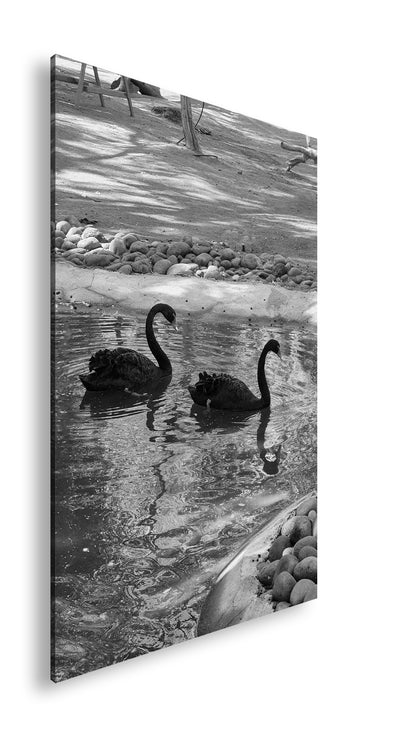 Hauptbild Schwarz & Weiß Standart