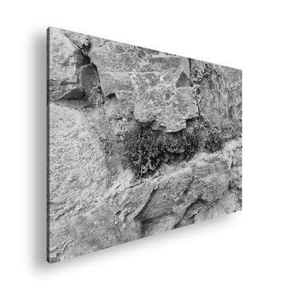 Hauptbild Schwarz & Weiß Standart