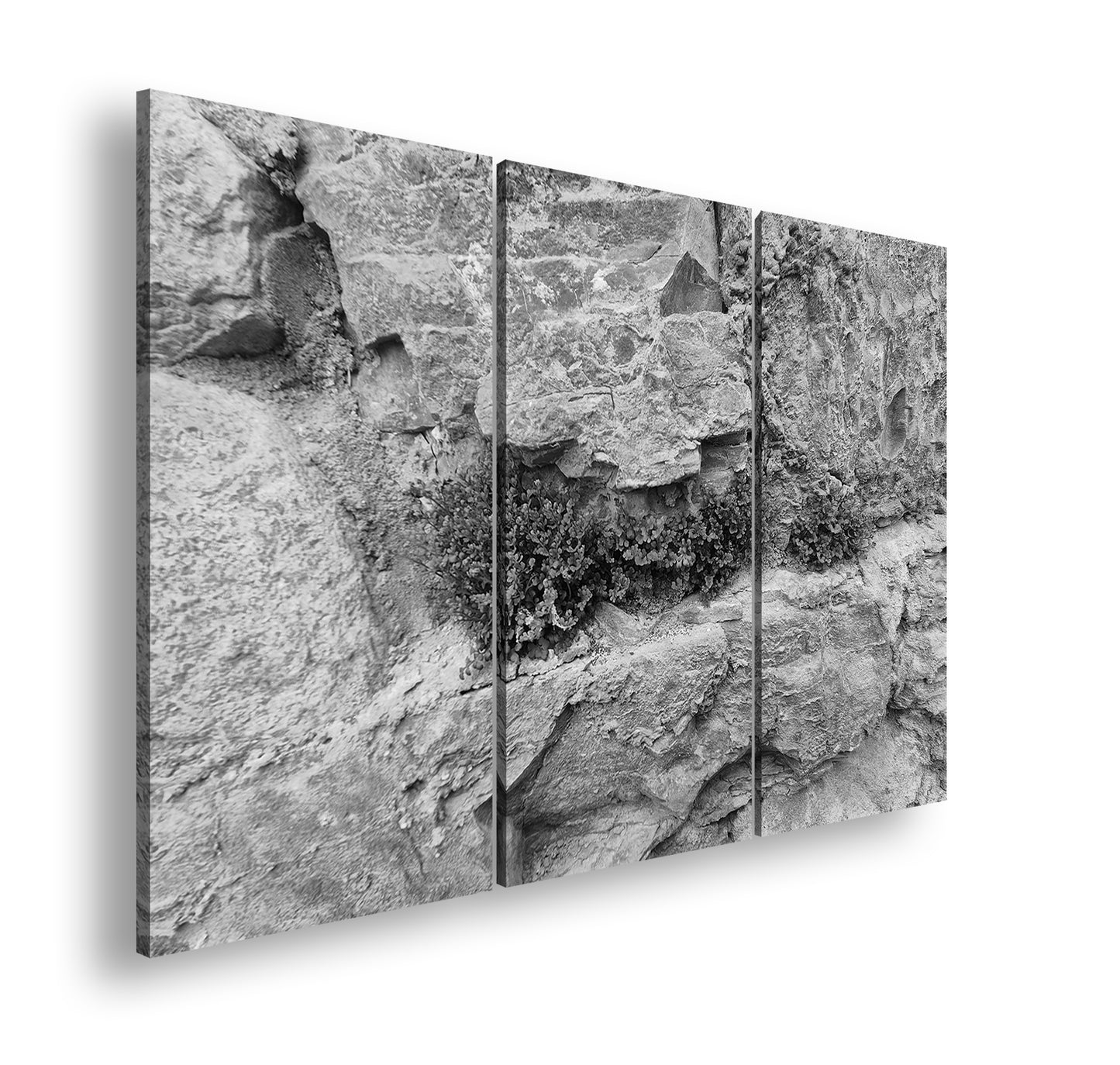 Hauptbild Schwarz & Weiß 3 Teilig