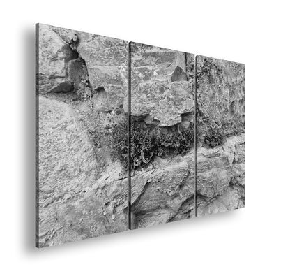 Hauptbild Schwarz & Weiß 3 Teilig