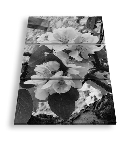 Hauptbild Schwarz & Weiß 3 Teilig