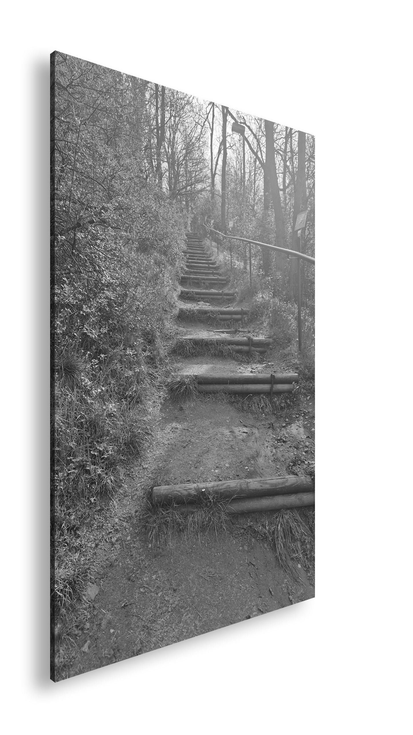 Hauptbild Schwarz & Weiß Standart