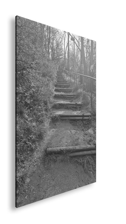 Hauptbild Schwarz & Weiß Standart