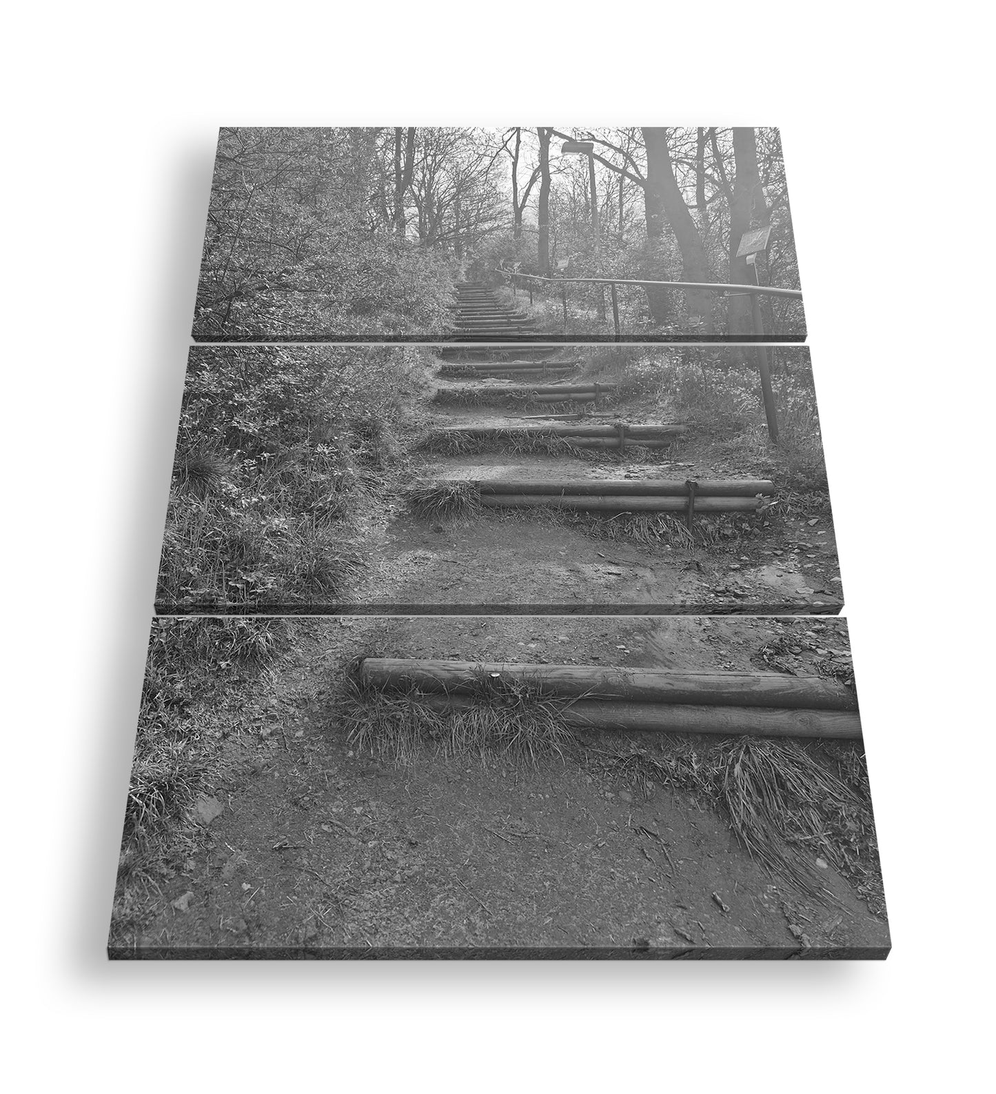 Hauptbild Schwarz & Weiß 3 Teilig