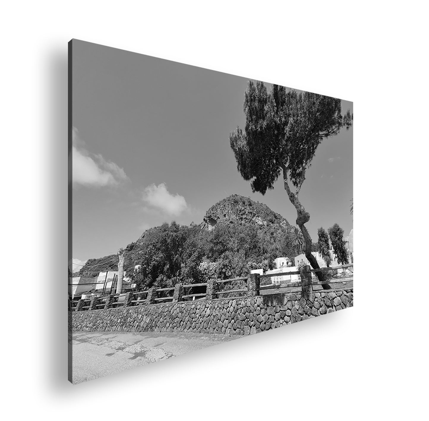 Hauptbild Schwarz & Weiß Standart