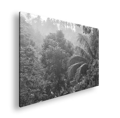 Hauptbild Schwarz & Weiß Standart