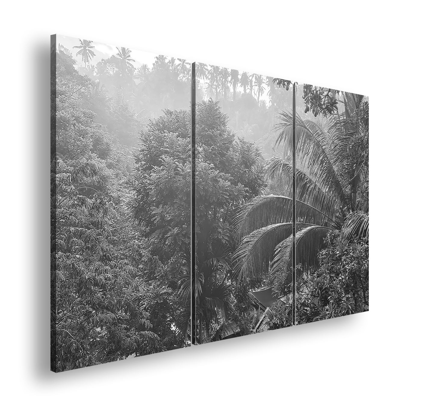 Hauptbild Schwarz & Weiß 3 Teilig