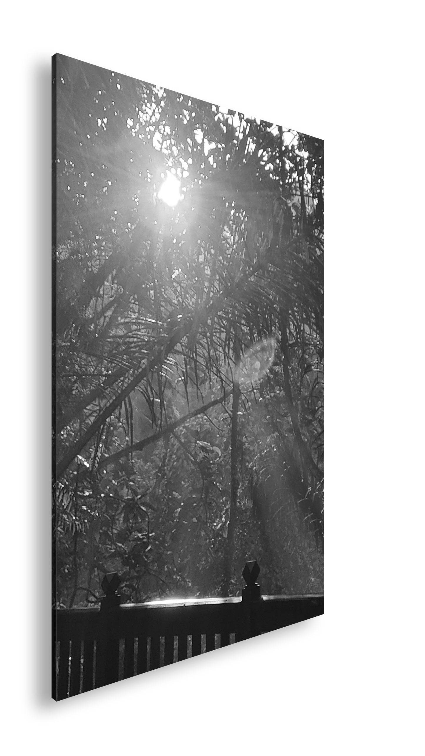 Hauptbild Schwarz & Weiß Standart