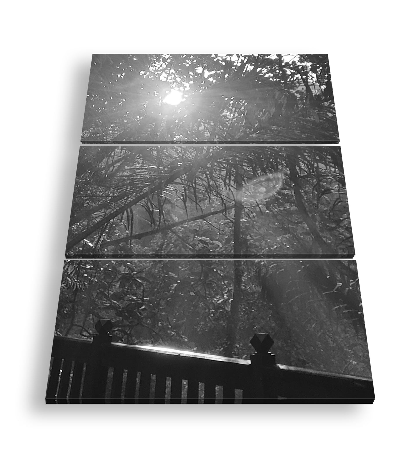 Hauptbild Schwarz & Weiß 3 Teilig