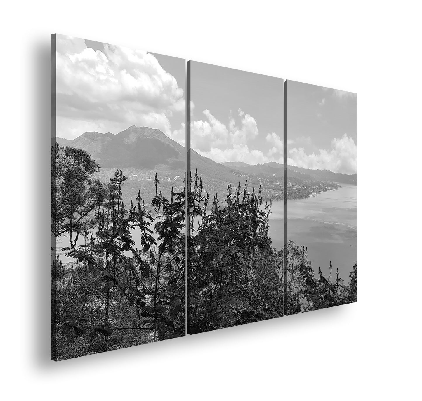 Hauptbild Schwarz & Weiß 3 Teilig