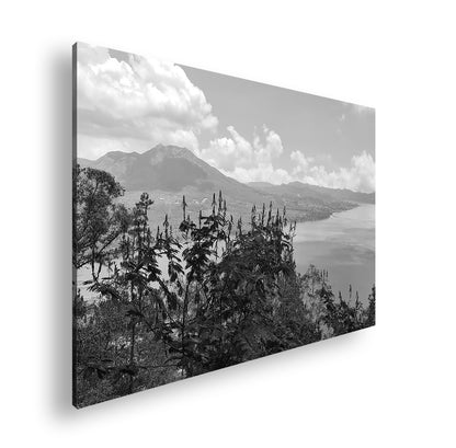 Hauptbild Schwarz & Weiß Standart