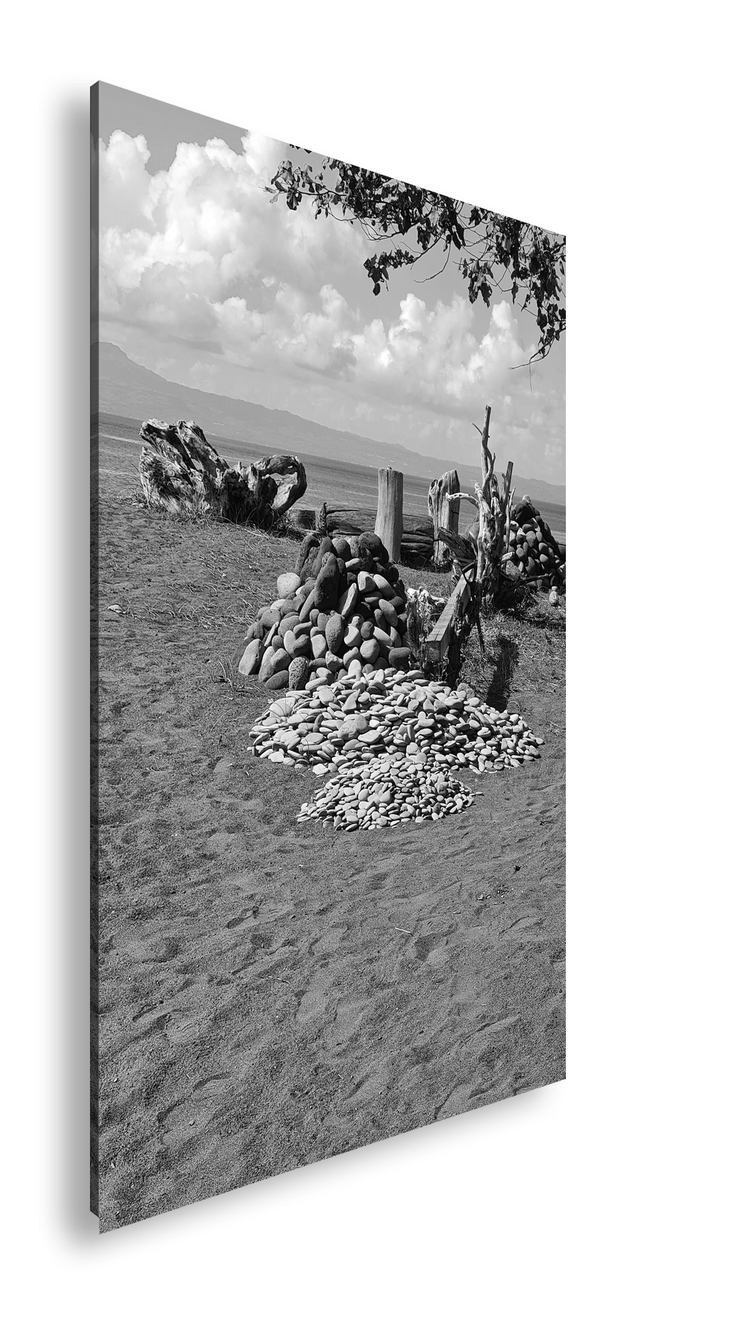 Hauptbild Schwarz & Weiß Standart