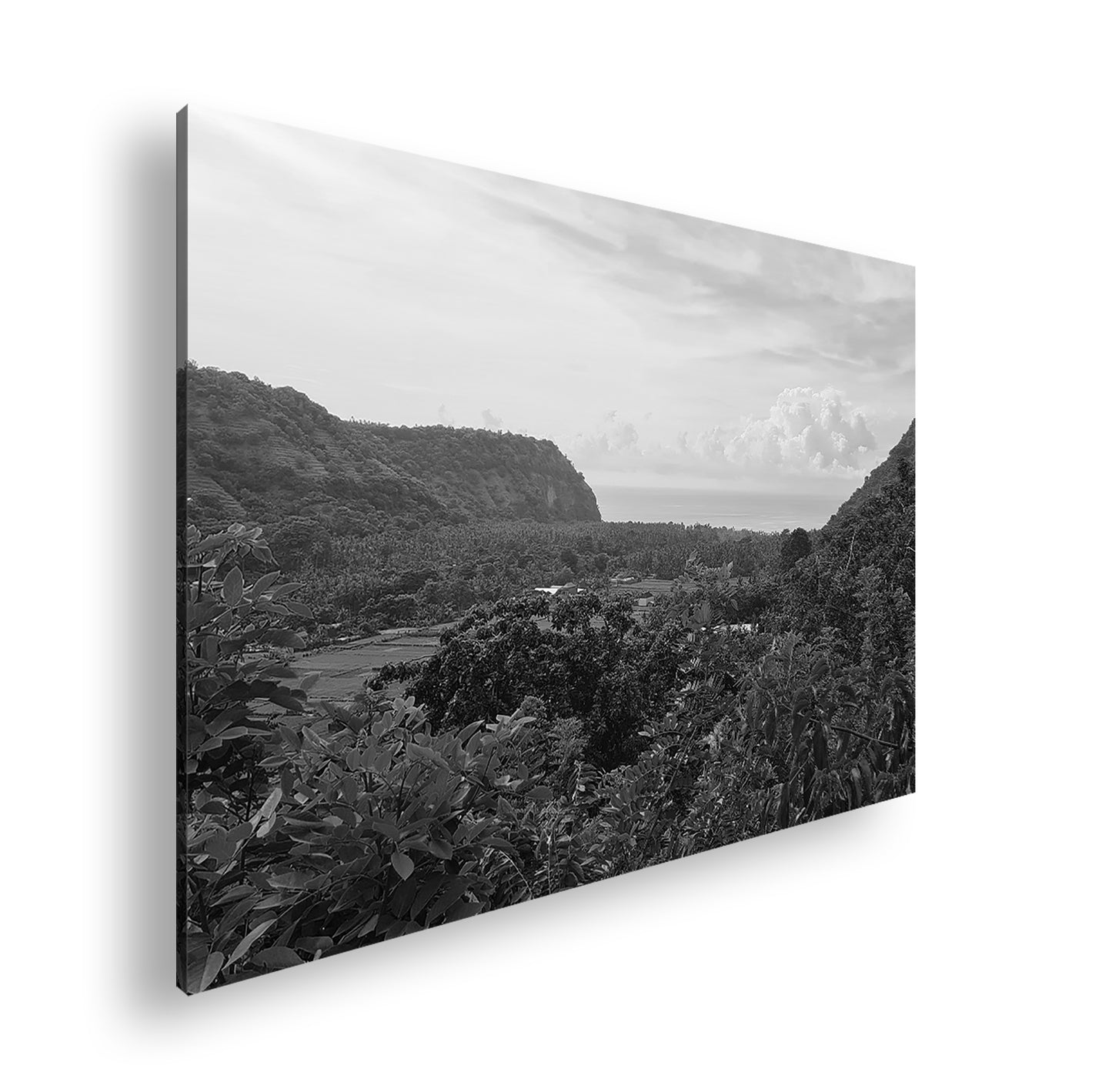 Hauptbild Schwarz & Weiß Standart