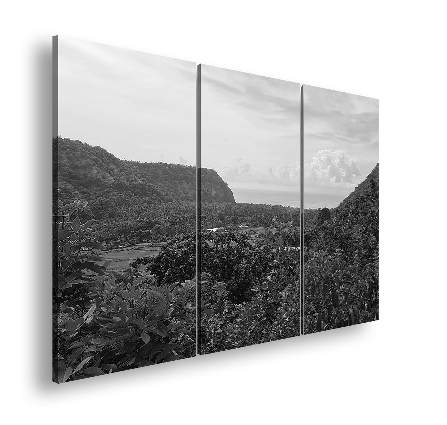 Hauptbild Schwarz & Weiß 3 Teilig