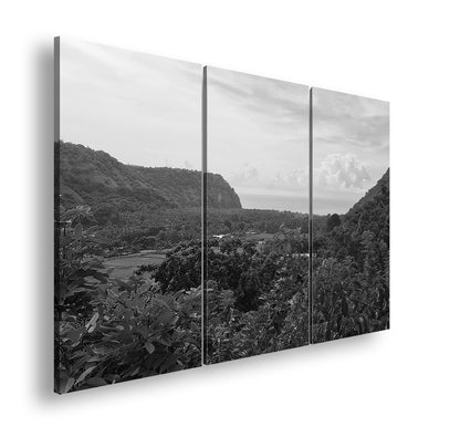 Hauptbild Schwarz & Weiß 3 Teilig