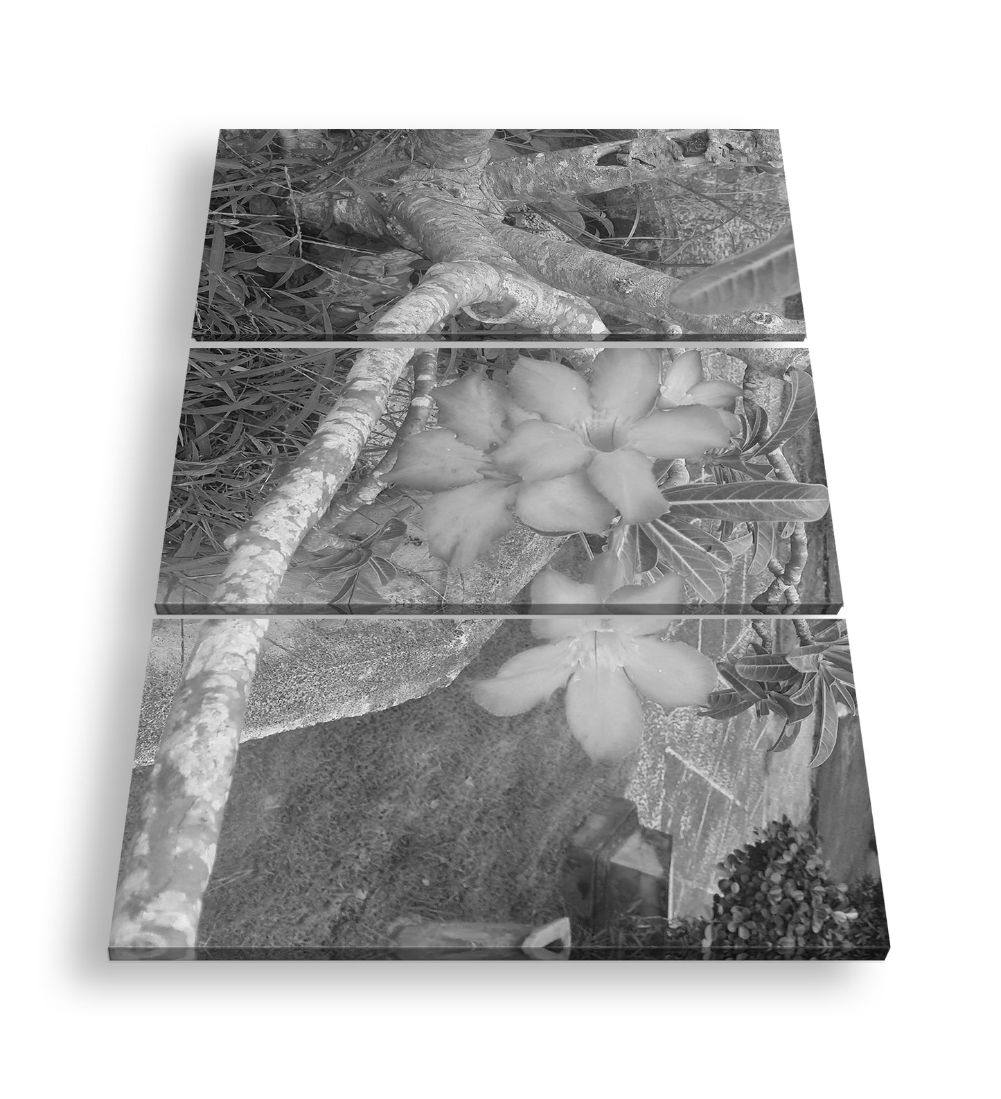 Hauptbild Schwarz & Weiß 3 Teilig