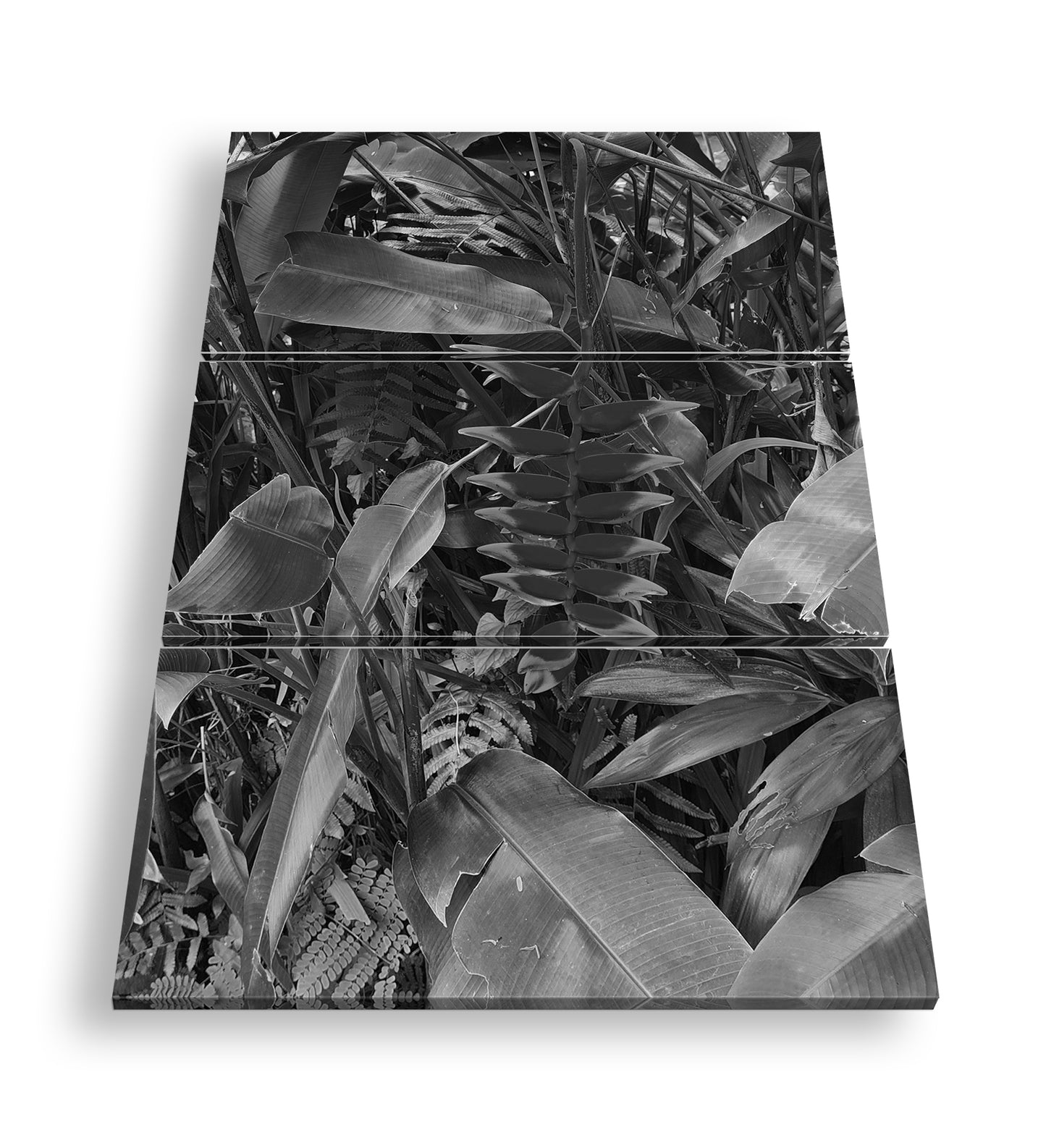 Hauptbild Schwarz & Weiß 3 Teilig