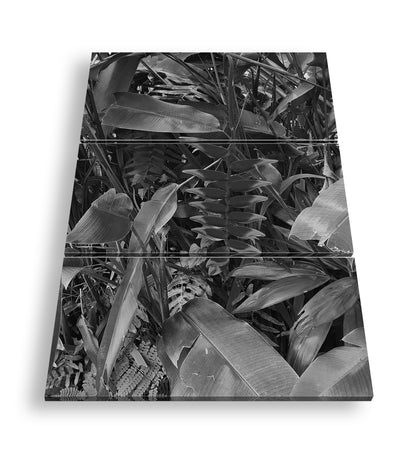 Hauptbild Schwarz & Weiß 3 Teilig