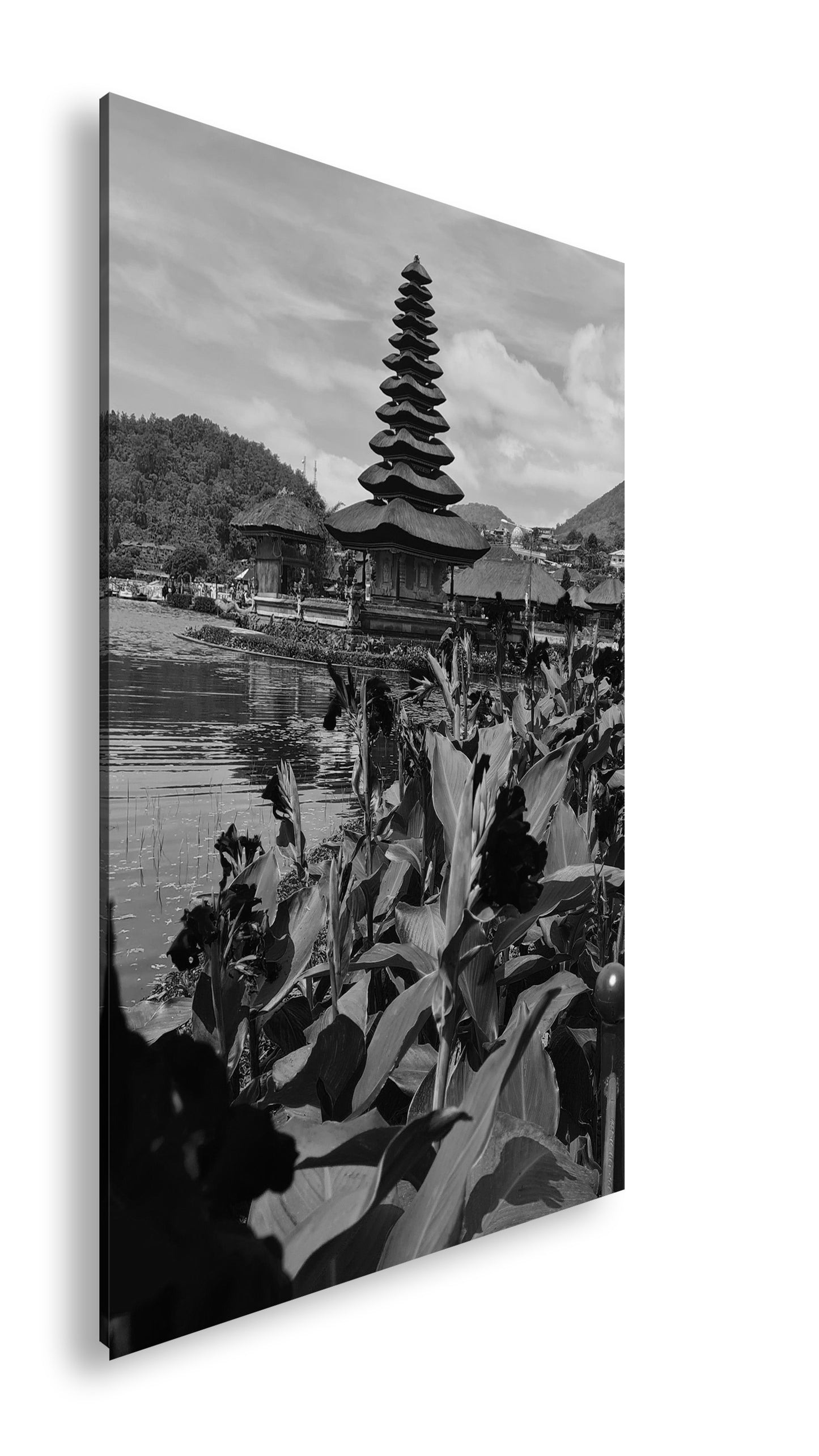 Hauptbild Schwarz & Weiß Standart