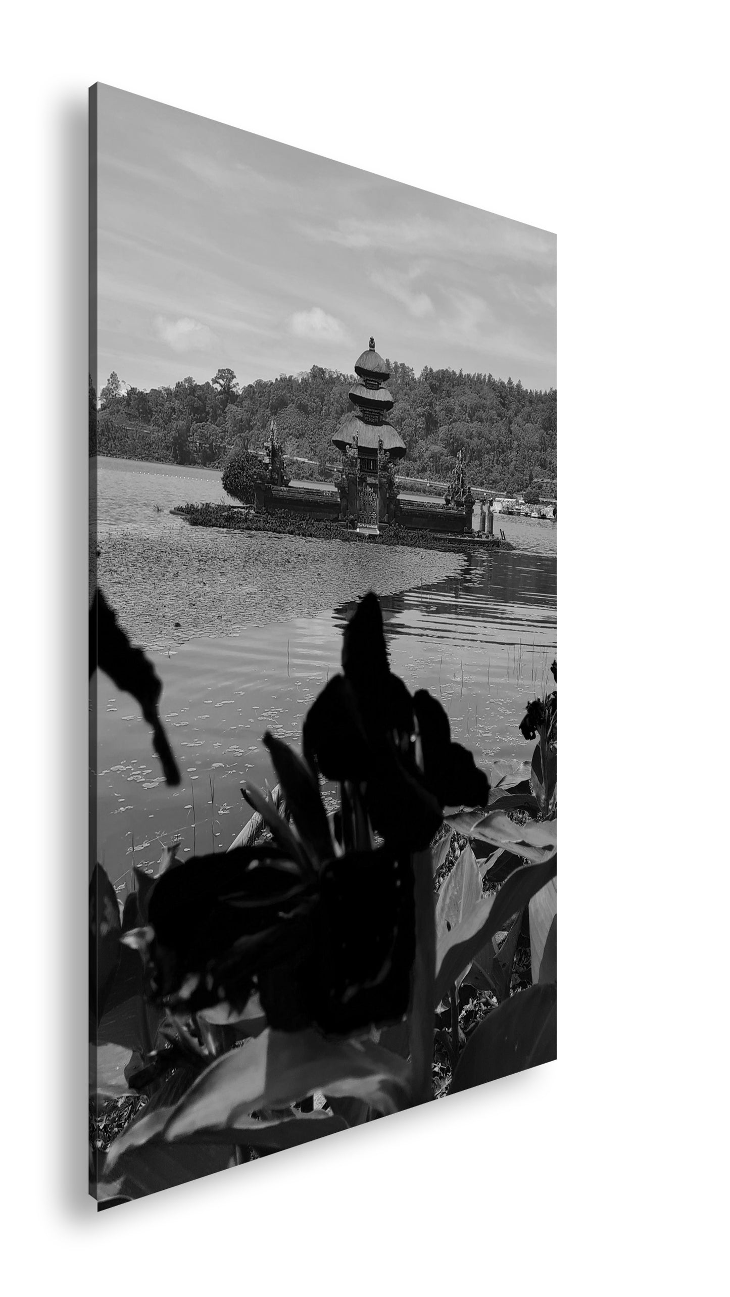 Hauptbild Schwarz & Weiß Standart