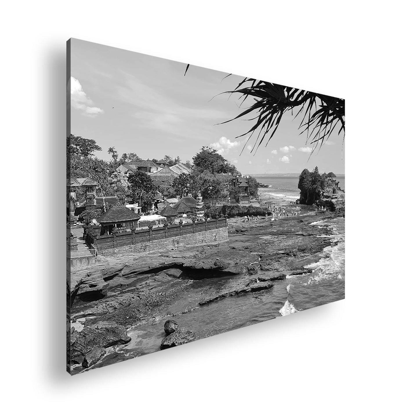 Hauptbild Schwarz & Weiß Standart