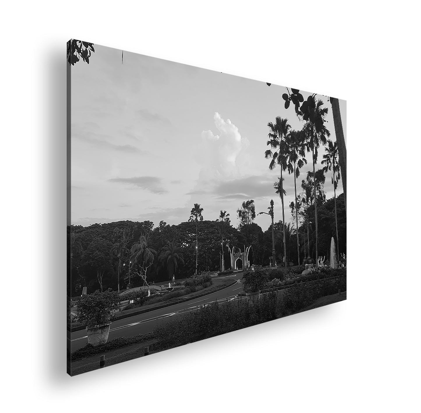 Hauptbild Schwarz & Weiß Standart