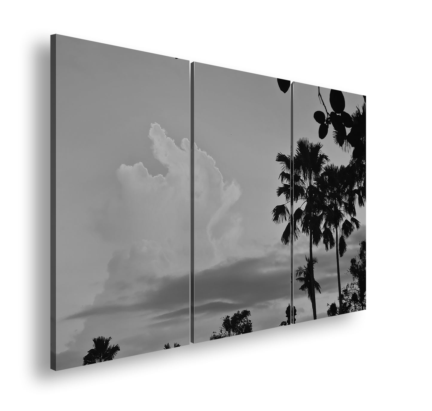 Hauptbild Schwarz & Weiß 3 Teilig