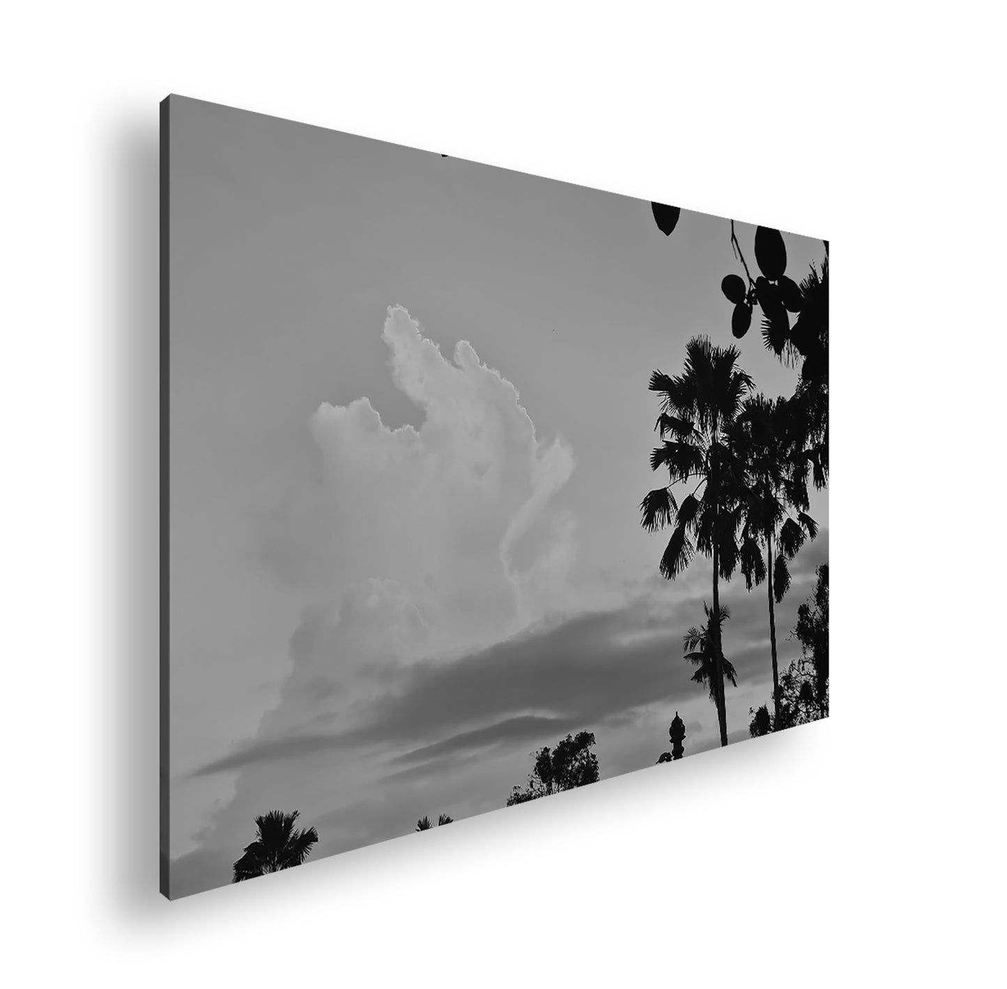 Hauptbild Schwarz & Weiß Standart