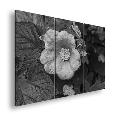 Hauptbild Schwarz & Weiß 3 Teilig