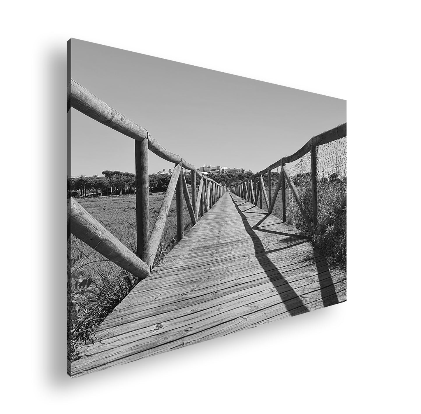 Hauptbild Schwarz & Weiß Standart