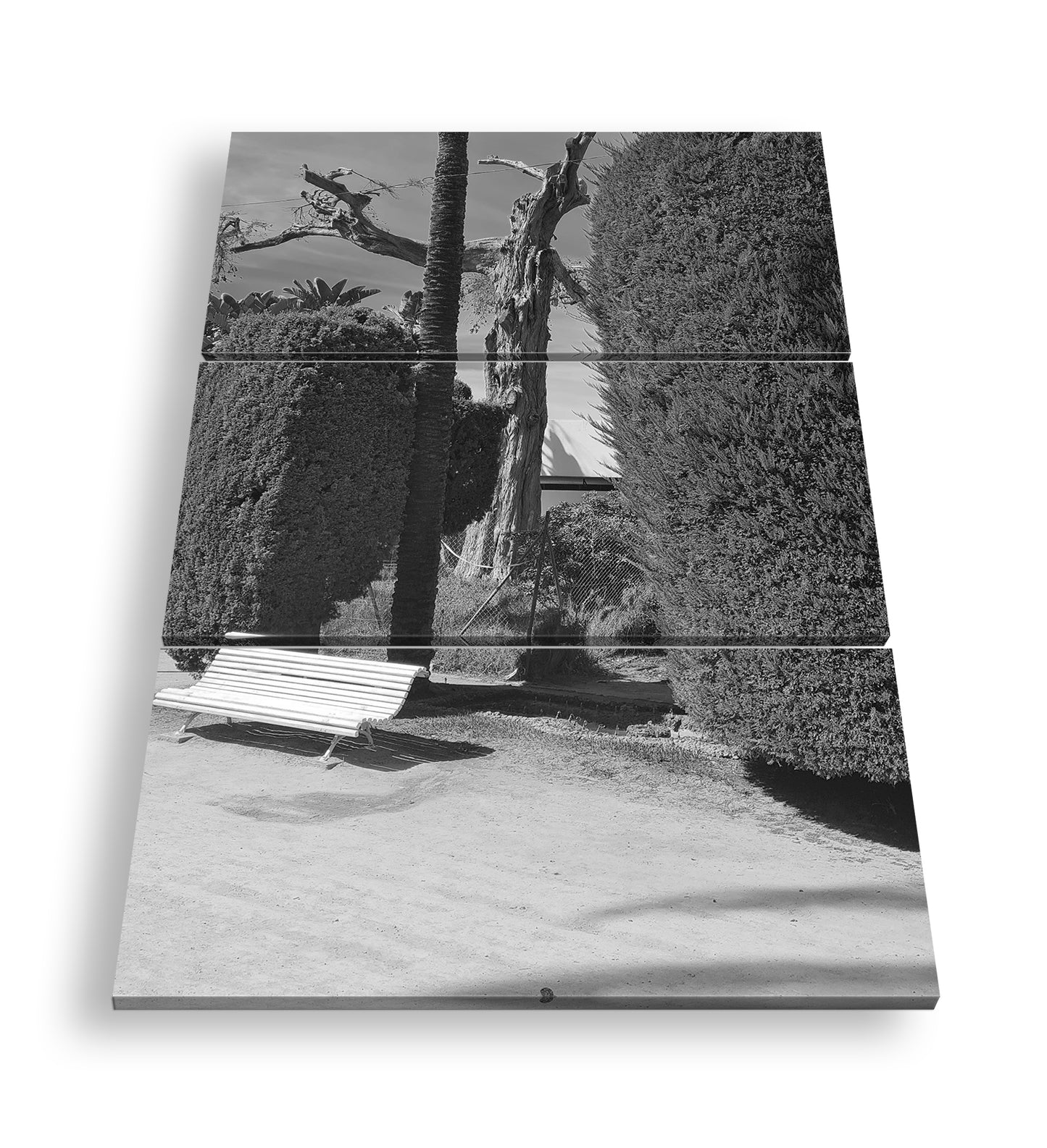 Hauptbild Schwarz & Weiß 3 Teilig