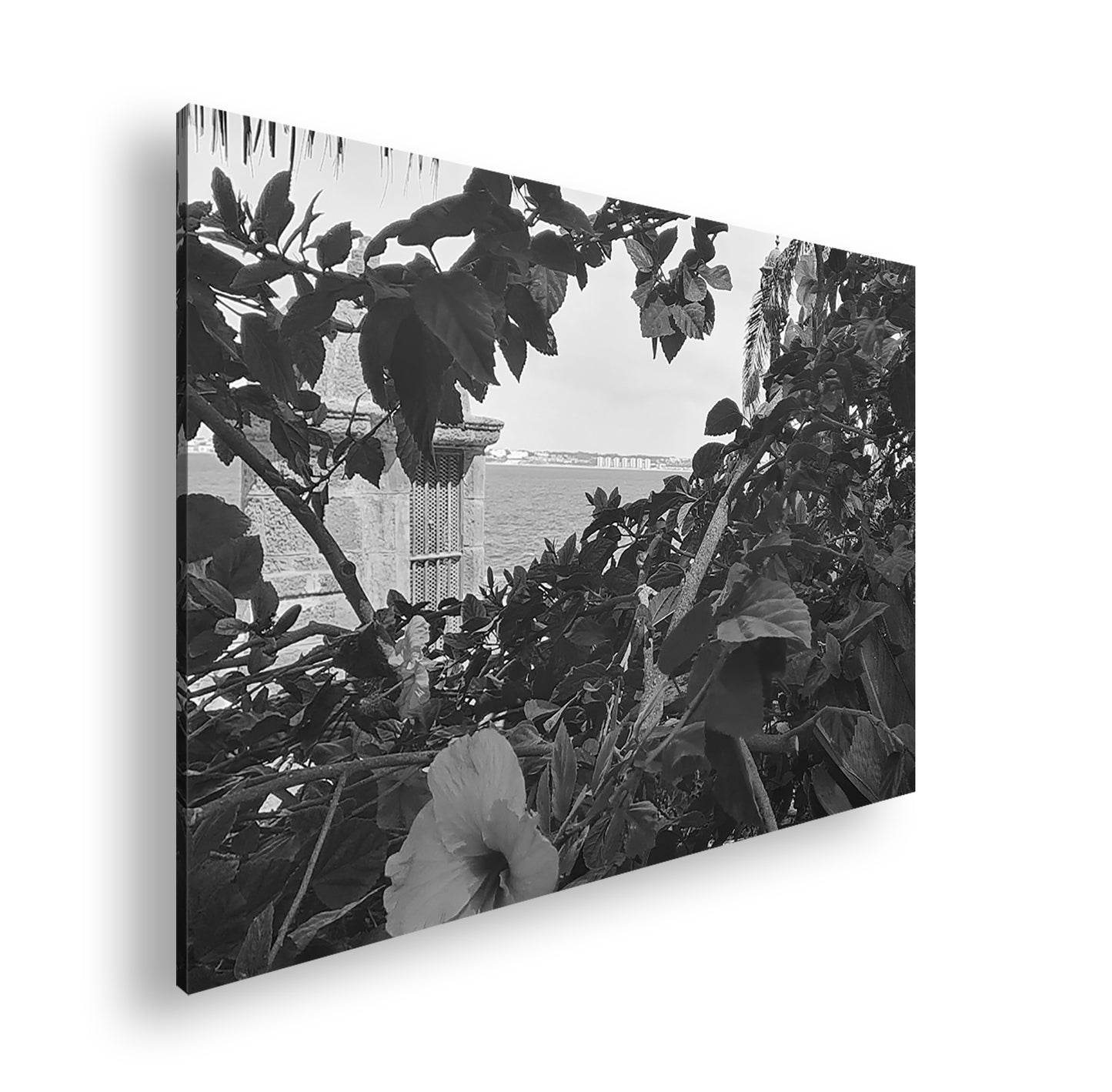 Hauptbild Schwarz & Weiß Standart