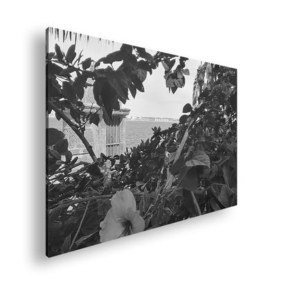 Hauptbild Schwarz & Weiß Standart