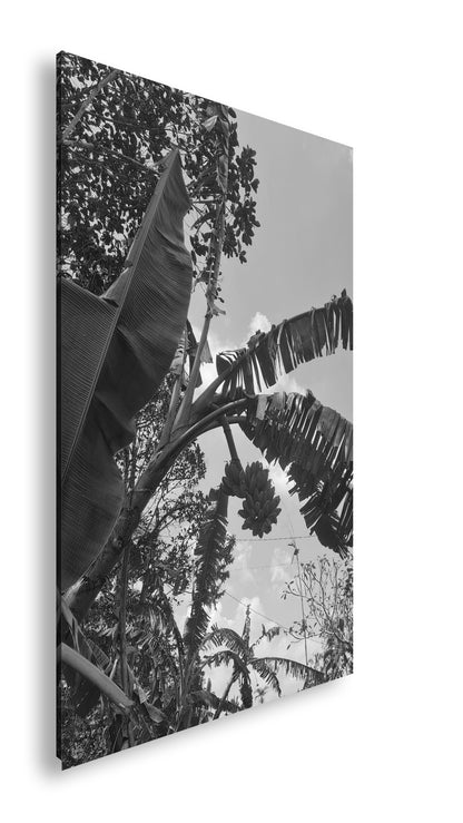 Hauptbild Schwarz & Weiß Standart