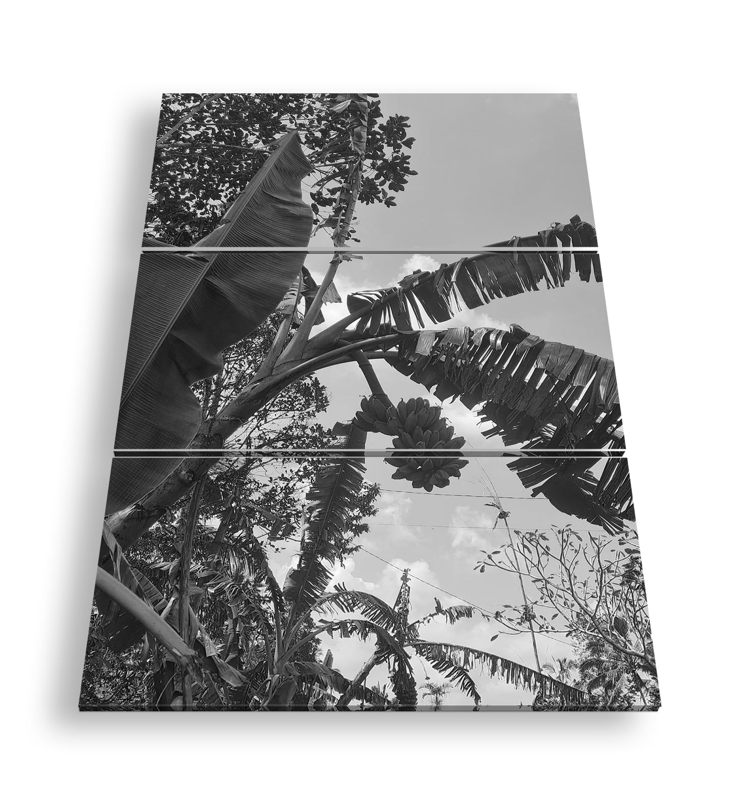 Hauptbild Schwarz & Weiß 3 Teilig