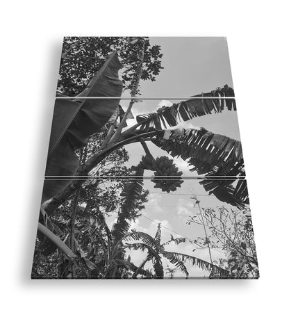 Hauptbild Schwarz & Weiß 3 Teilig