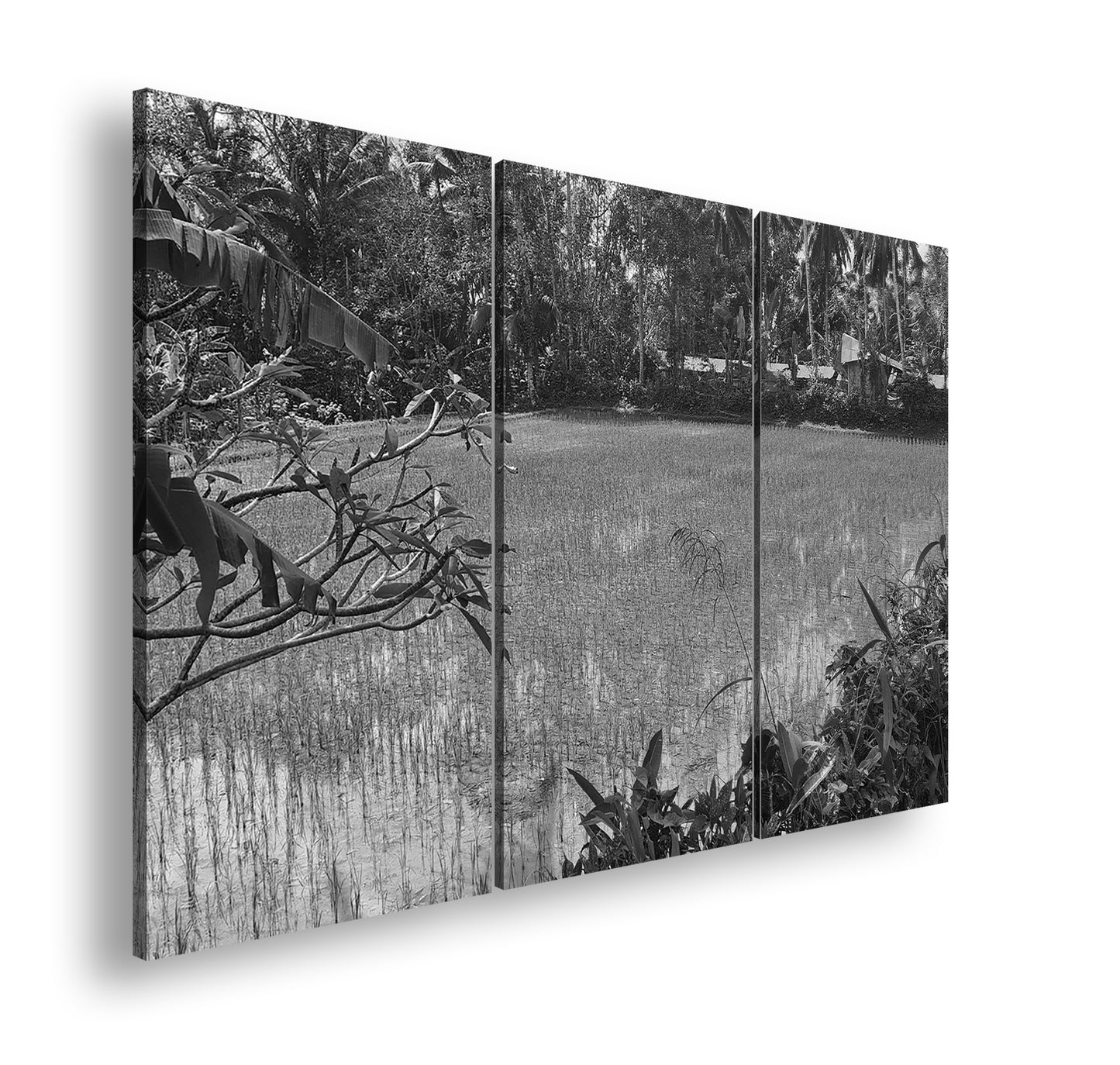 Hauptbild Schwarz & Weiß 3 Teilig